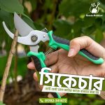 Secateur (Pruning Shears) সিকেচার (Secateur) বা প্রুনিং কাটার হল একটি হাতের কাঁচি জাতীয় টুল, যা গাছের ডালপালা ছাঁটাইয়ের জন্য ব্যবহৃত হয়। এটি বাগান পরিচর্যার একটি অপরিহার্য হাতিয়ার।